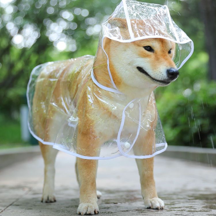 KFX-0566205 Transparent Blue Edge Dog Raincoat for Medium to Large Pets in Multiple Sizes