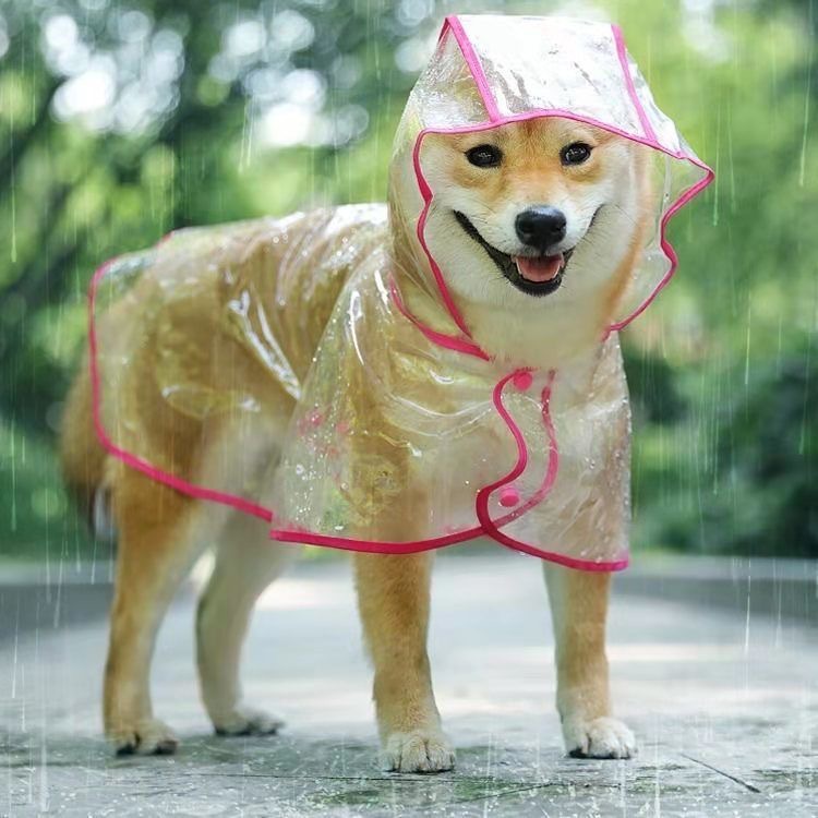 KFX-0566205 Transparent Blue Edge Dog Raincoat for Medium to Large Pets in Multiple Sizes