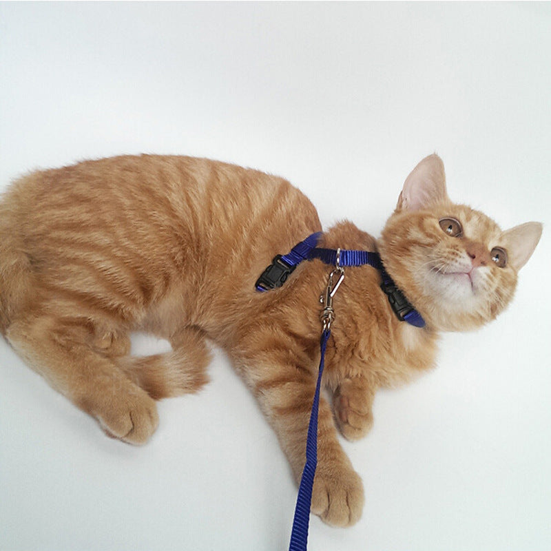 KFX-0567101 Adjustable Cat Chest Sling with 1.2m Nylon Leash for Secure Outdoor Exploration