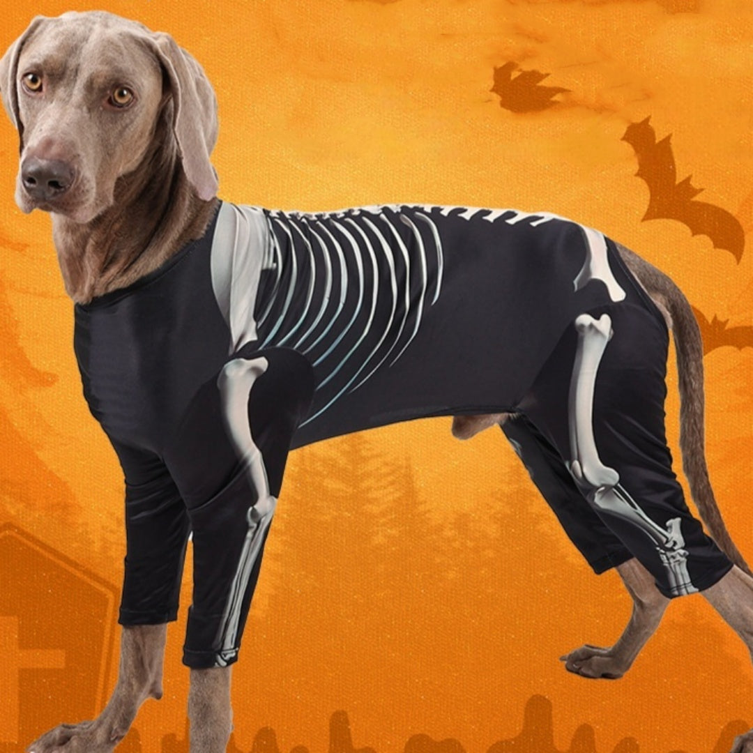 KFX-0568381 Comfortable Black Transformation Dress for Pet Dogs - Halloween Costume, Sizes XL to 3XL