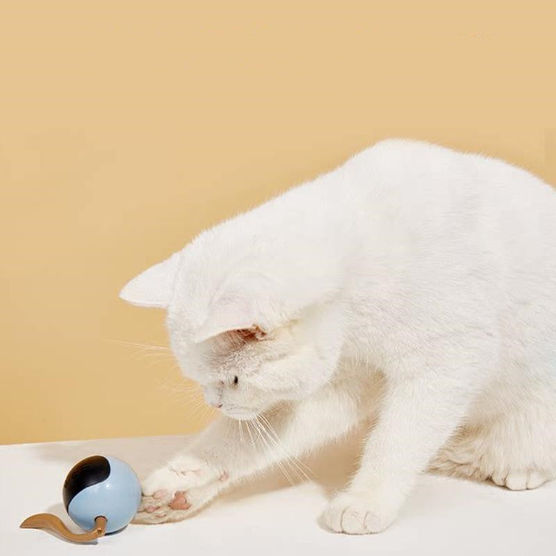 KFX-0568637 Interactive 360° Rotating LED Ball Toy for Cats - Engaging and Colorful Playtime