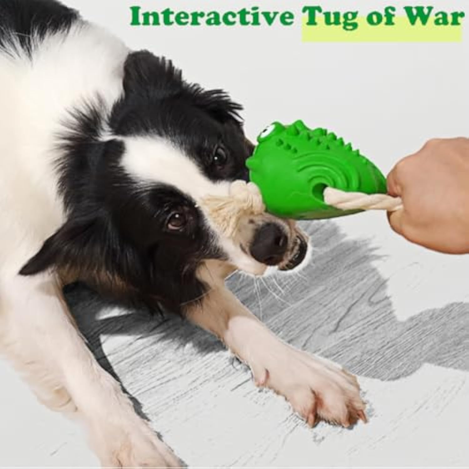 KFX-0571069 Indestructible Toad Shape Rubber Dog Toy for Aggressive Chewers - Squeaky, Chew-Resistant, and Dental Health Enhancer