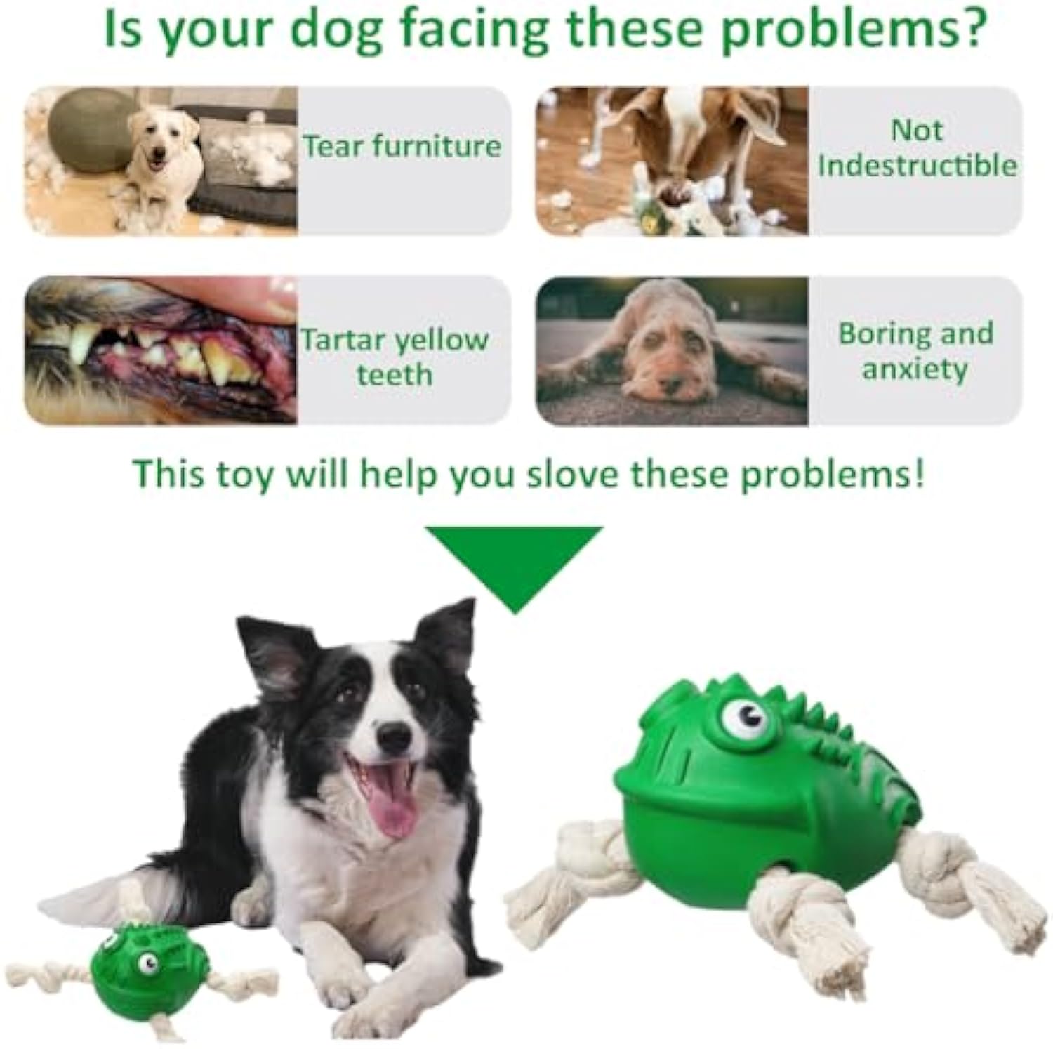 KFX-0571069 Indestructible Toad Shape Rubber Dog Toy for Aggressive Chewers - Squeaky, Chew-Resistant, and Dental Health Enhancer