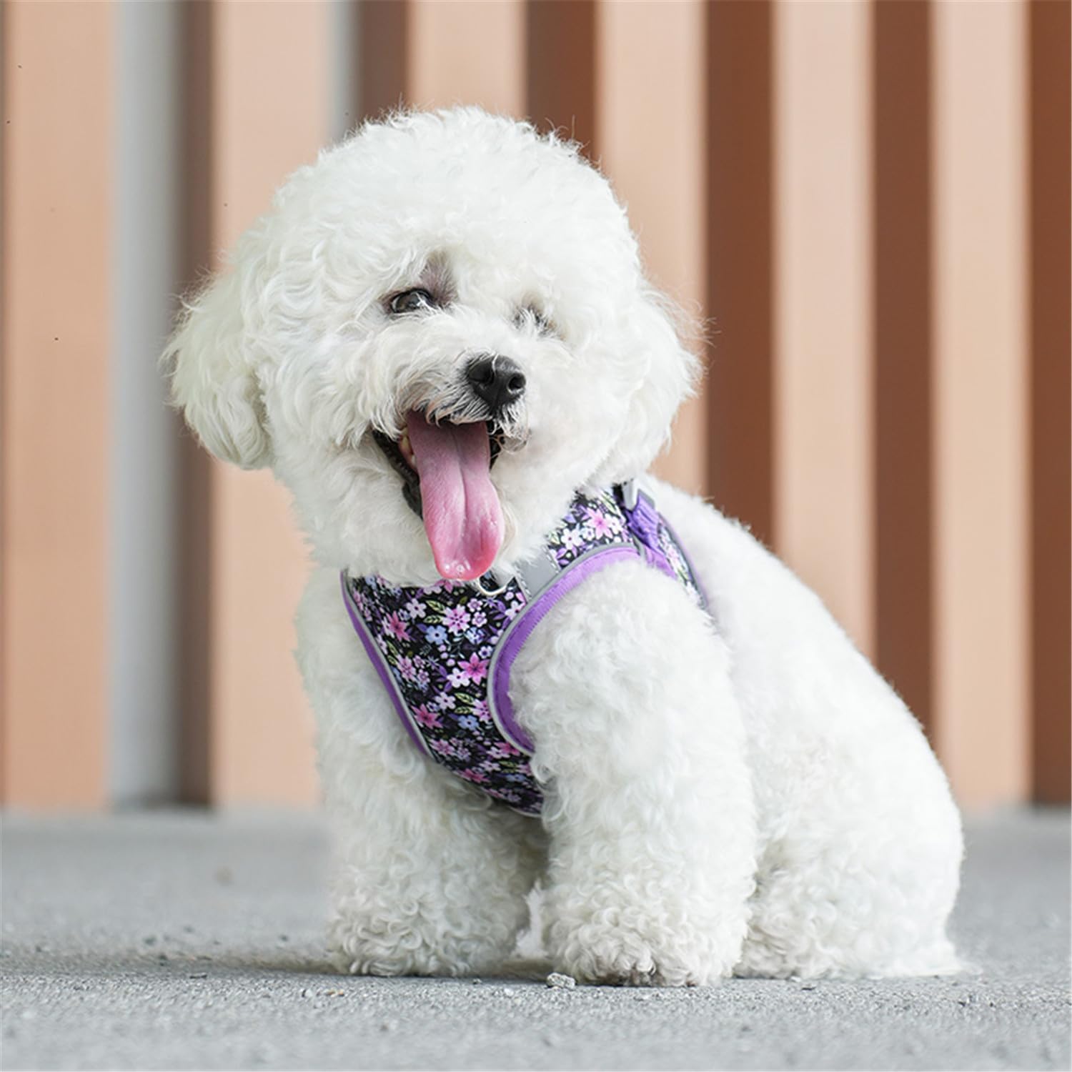 KFX-0579133 Reflective No Pull Adjustable Soft Mesh Dog Harness and Leash Set for Small to Medium Dogs