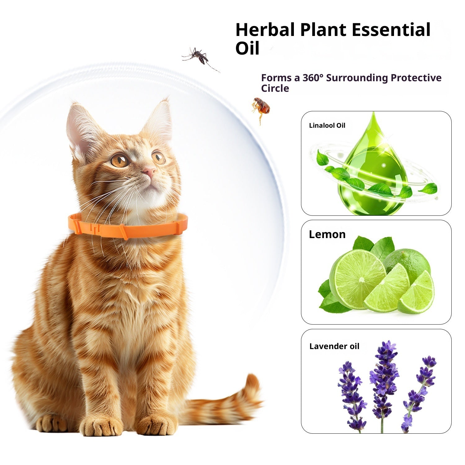 KFX-0585149 Adjustable Anti-Bite Collar for Dogs and Cats - Monochrome PVC Design, Available in Four Colors