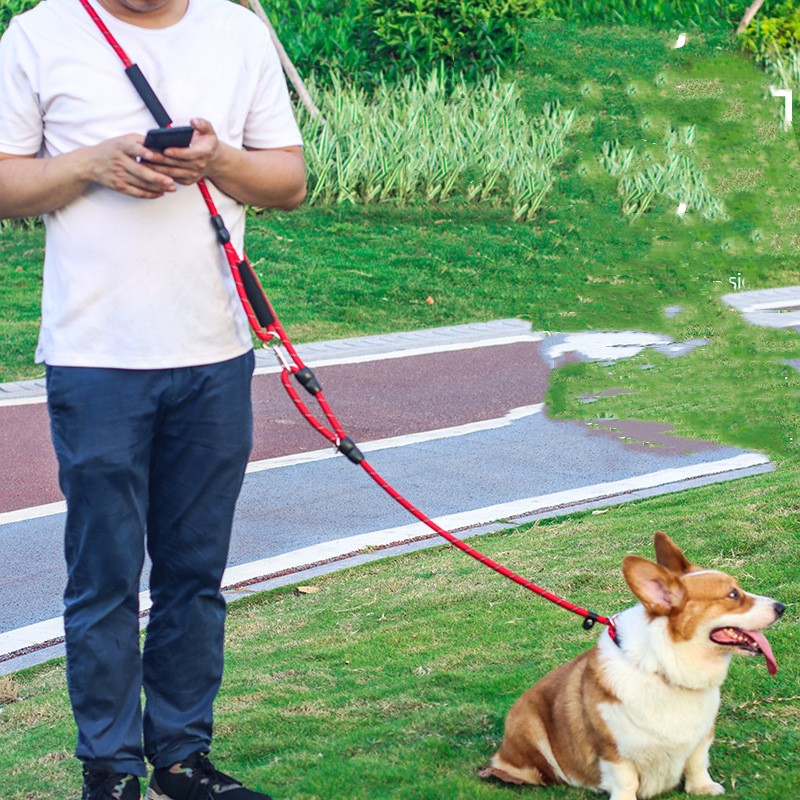 KFX-0588861 Durable Nylon Dog Traction Rope with Shock Absorption Design and Adjustable Handheld Options