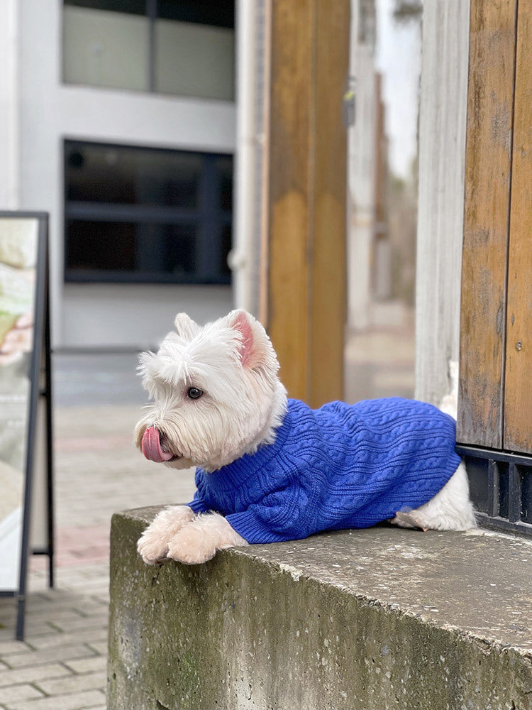 KFX-0598589 Bichon Corgi Wool Winter Sweater in Blue, Available in L/XL/XXL/3XL