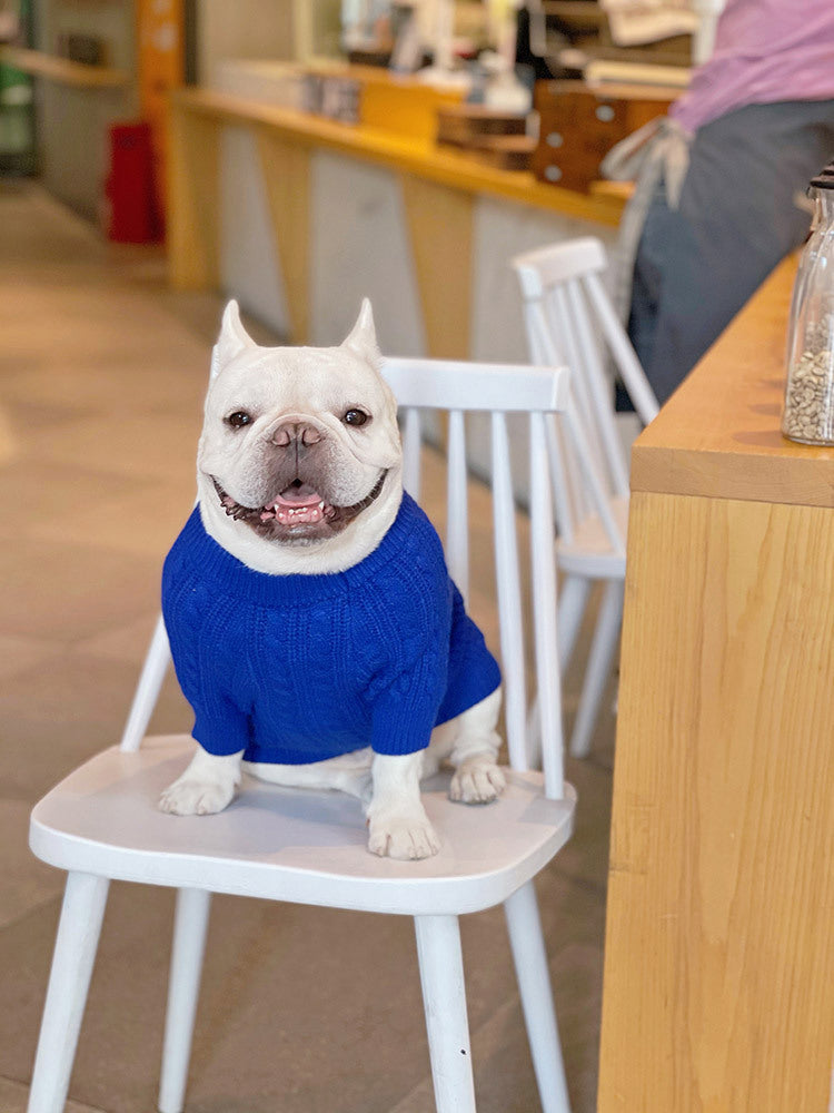 KFX-0598589 Bichon Corgi Wool Winter Sweater in Blue, Available in L/XL/XXL/3XL