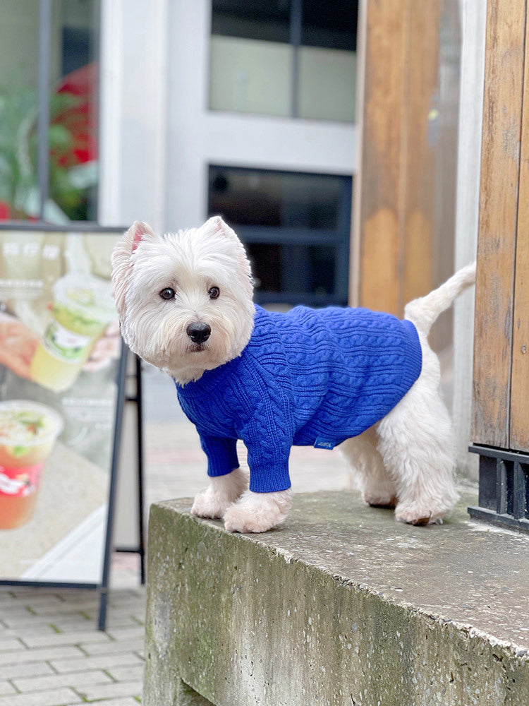 KFX-0598589 Bichon Corgi Wool Winter Sweater in Blue, Available in L/XL/XXL/3XL