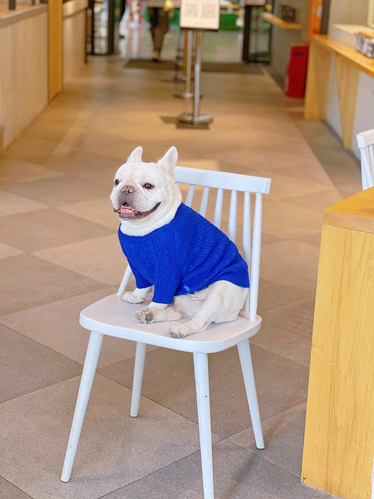 KFX-0598589 Bichon Corgi Wool Winter Sweater in Blue, Available in L/XL/XXL/3XL