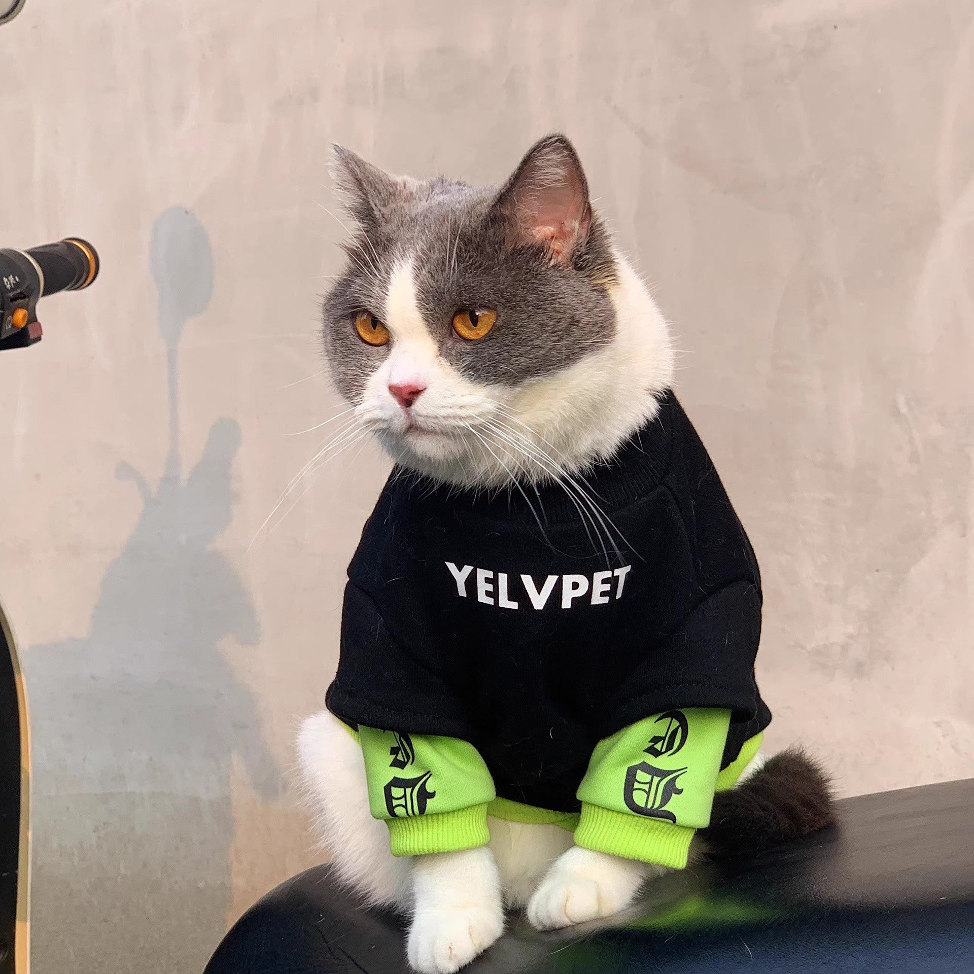 KFX-0598973 Cozy Black Panel Sweater for Cats and Small Dogs - Autumn and Winter Wear