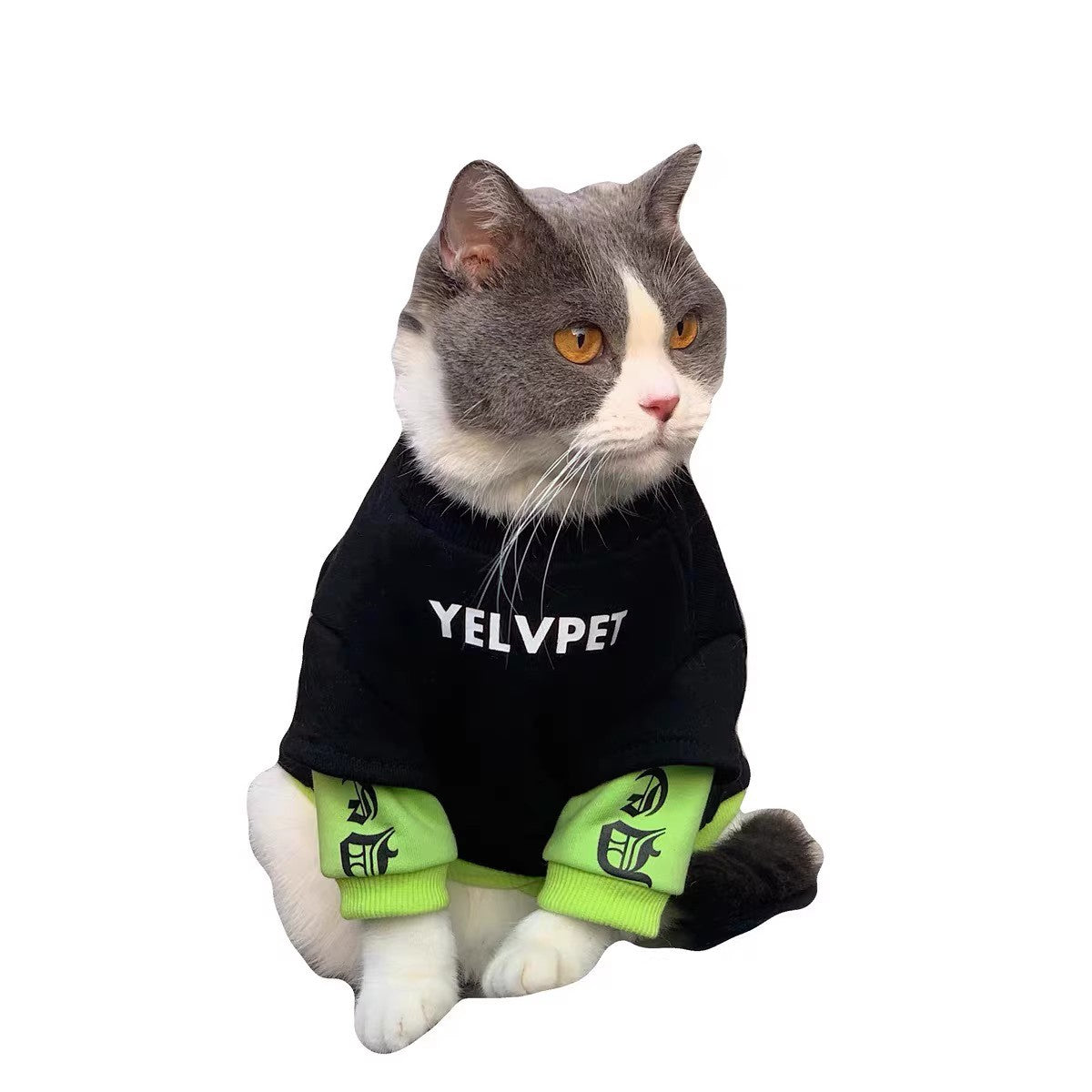 KFX-0598973 Cozy Black Panel Sweater for Cats and Small Dogs - Autumn and Winter Wear