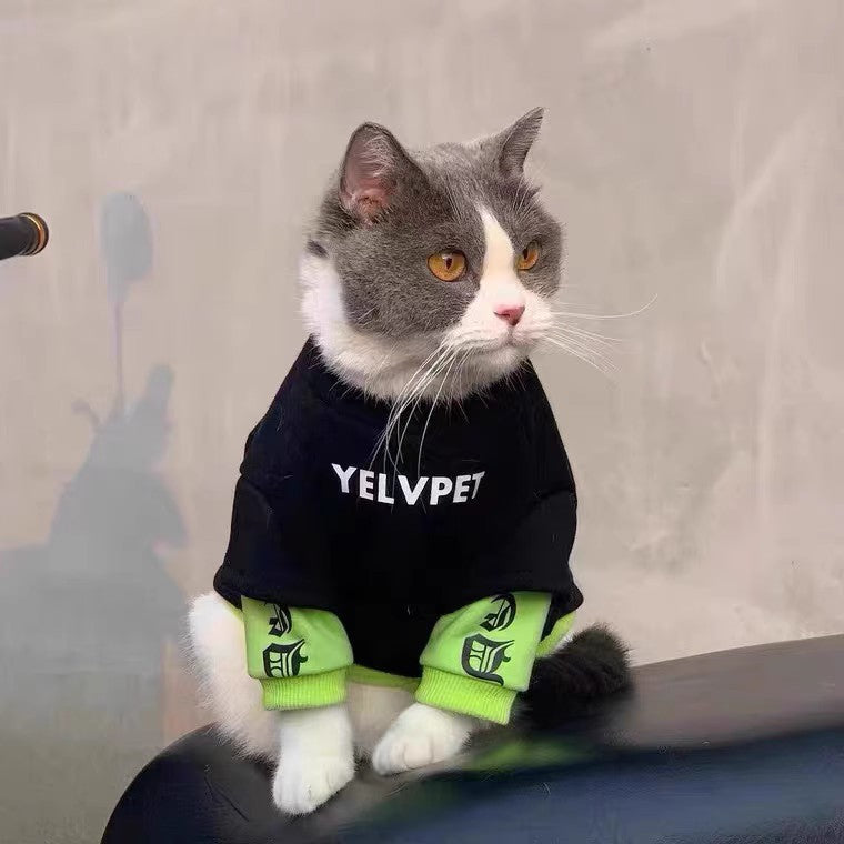 KFX-0598973 Cozy Black Panel Sweater for Cats and Small Dogs - Autumn and Winter Wear