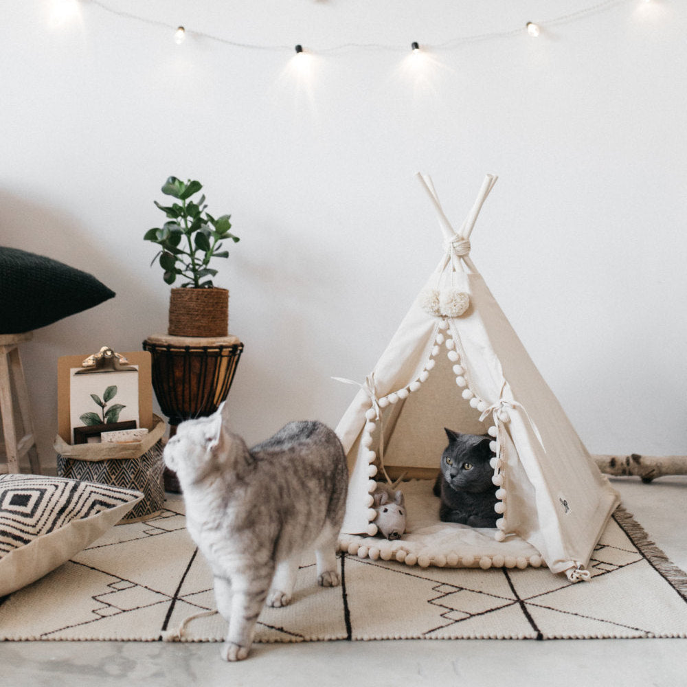 KFX-0600637 Cozy Canvas Pet Tent Bed with Pine Wood Frame - Portable, Washable, Easy Setup for Cats and Small Dogs