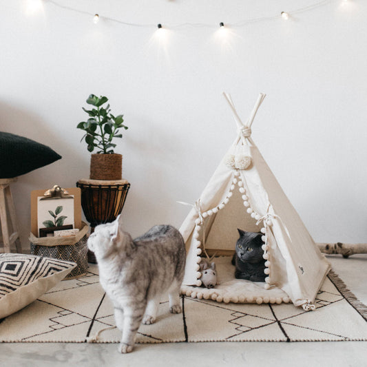 KFX-0600637 Cozy Canvas Pet Tent Bed with Pine Wood Frame - Portable, Washable, Easy Setup for Cats and Small Dogs