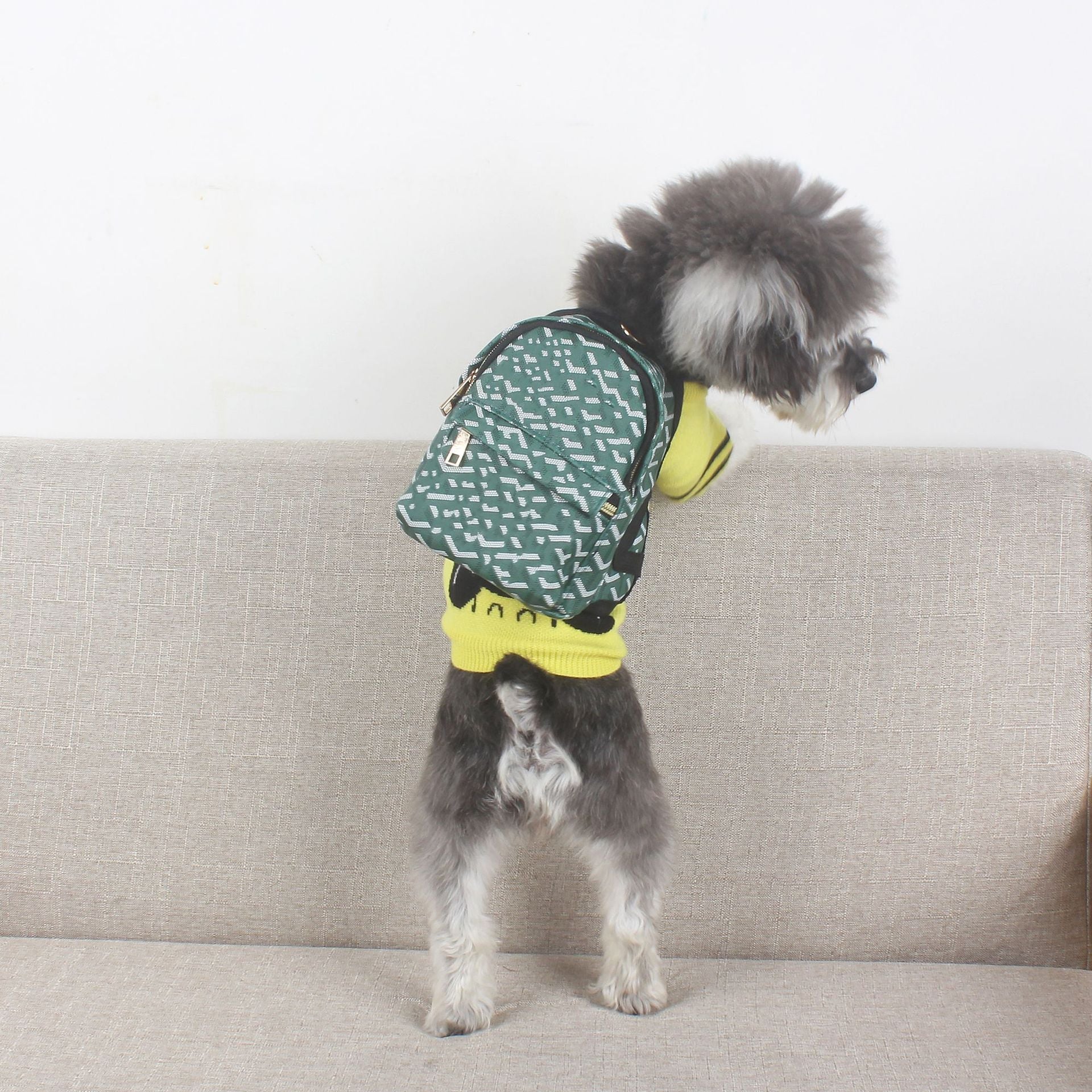 KFX-0608573 Stripes Green Leather Dog Backpack for Small to Medium Dogs - Retractable Strap and Capacity 500g