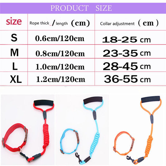KFX-0611901 Durable Adjustable Pet Leash and Collar Set for All Dog Sizes