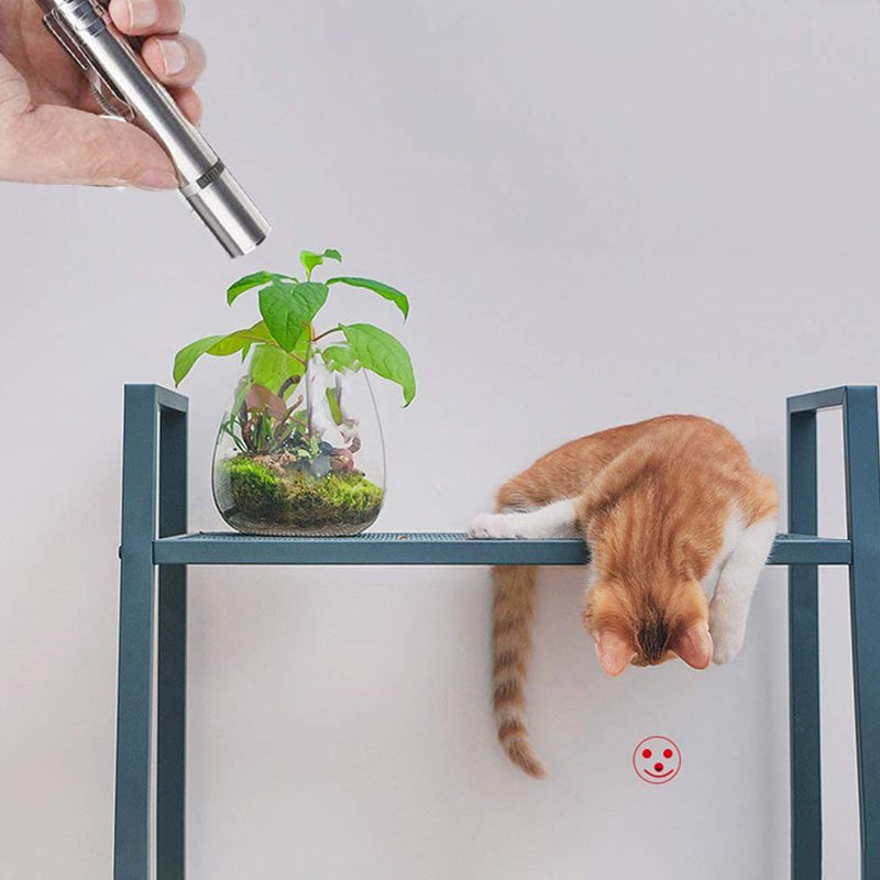 KFX-0612925 USB Rechargeable Laser Cat Toy with Red, Purple, and White Light Functions