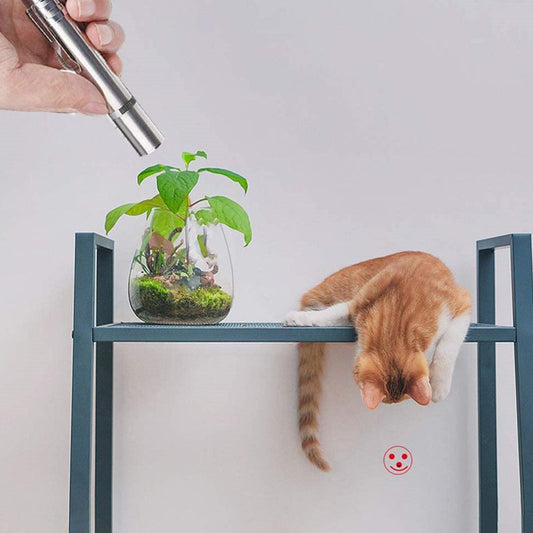 KFX-0612925 USB Rechargeable Laser Cat Toy with Red, Purple, and White Light Functions