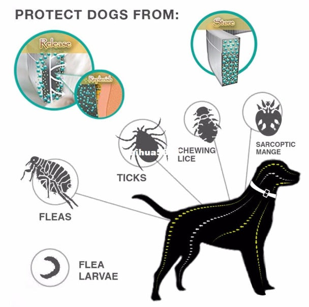 KFX-0614077 Flea and Tick Collar for Cats and Dogs – 8 Months of Protection, Adjustable, Water-Resistant, Allergy-Free