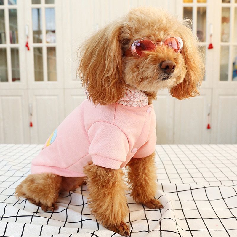 KFX-0622909 Plush Velvet Hooded Sports Sweater for Pets in Various Sizes
