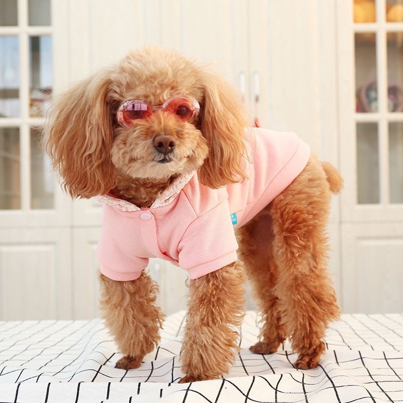 KFX-0622909 Plush Velvet Hooded Sports Sweater for Pets in Various Sizes