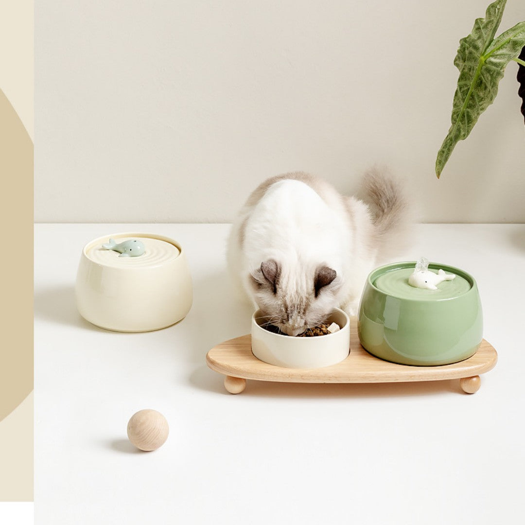 KFX-0623677 Ceramic Automatic Circulating Water Dispenser with Filter and Grain Bowl for Cats