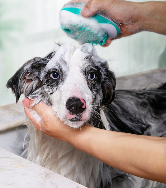 KFX-0625469 Pet Bath Massage Comb for Dogs and Cats - Dual Function ABS Brush with Soft Bristles