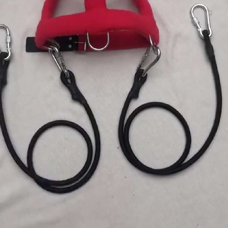 KFX-0626877 Elastic Training Chest Strap with Buffer Rope Set for Dogs, Available in Multiple Sizes