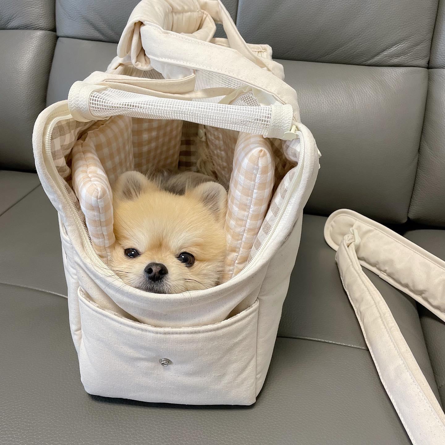 KFX-0629821 Small Dog Hand Messenger Bag in Beige - Nylon Canvas, Lightweight Design, Compact Size