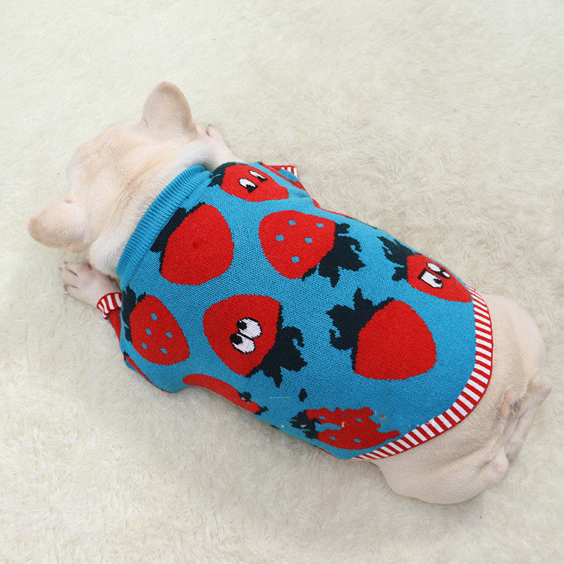 KFX-0631357 Cute Blue Strawberry Cartoon Sweater for Short and Fat Dogs - Available in S, M, L, XL