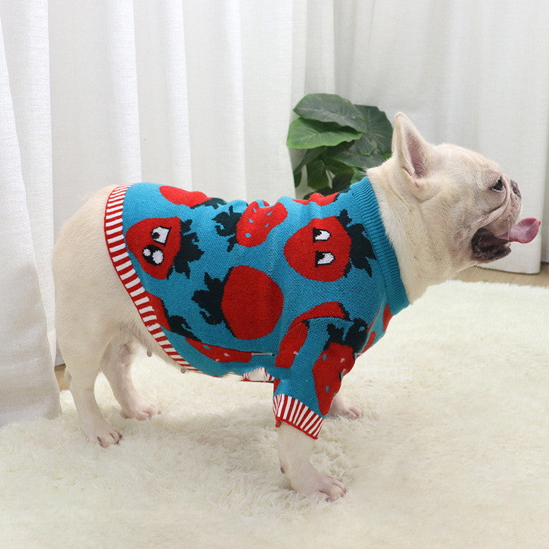 KFX-0631357 Cute Blue Strawberry Cartoon Sweater for Short and Fat Dogs - Available in S, M, L, XL