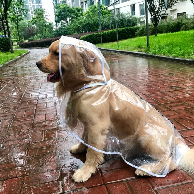KFX-0631741 Waterproof Transparent Raincoat for Large Dogs - Casual Pet Clothing in Various Sizes