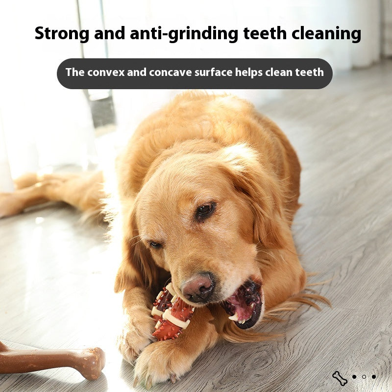 KFX-0634173 Durable Nylon TPR Dog Molar Toy - Bite-Resistant Double Color Bone