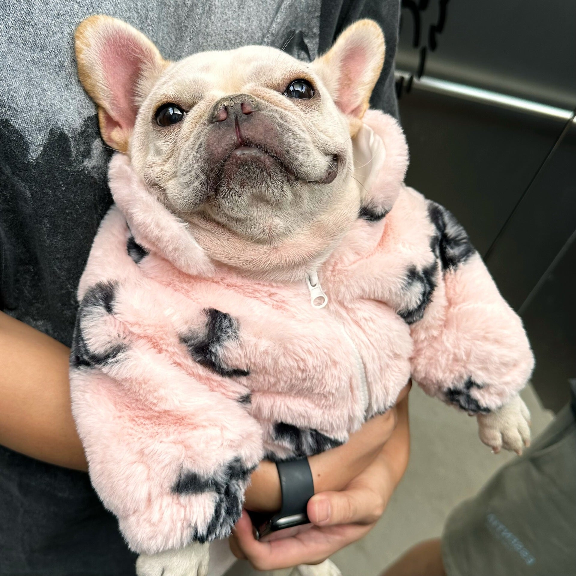 KFX-0637501 Fluffy Pink Velvet Coat for Cats - Stylish Princess Design, Multiple Sizes Available