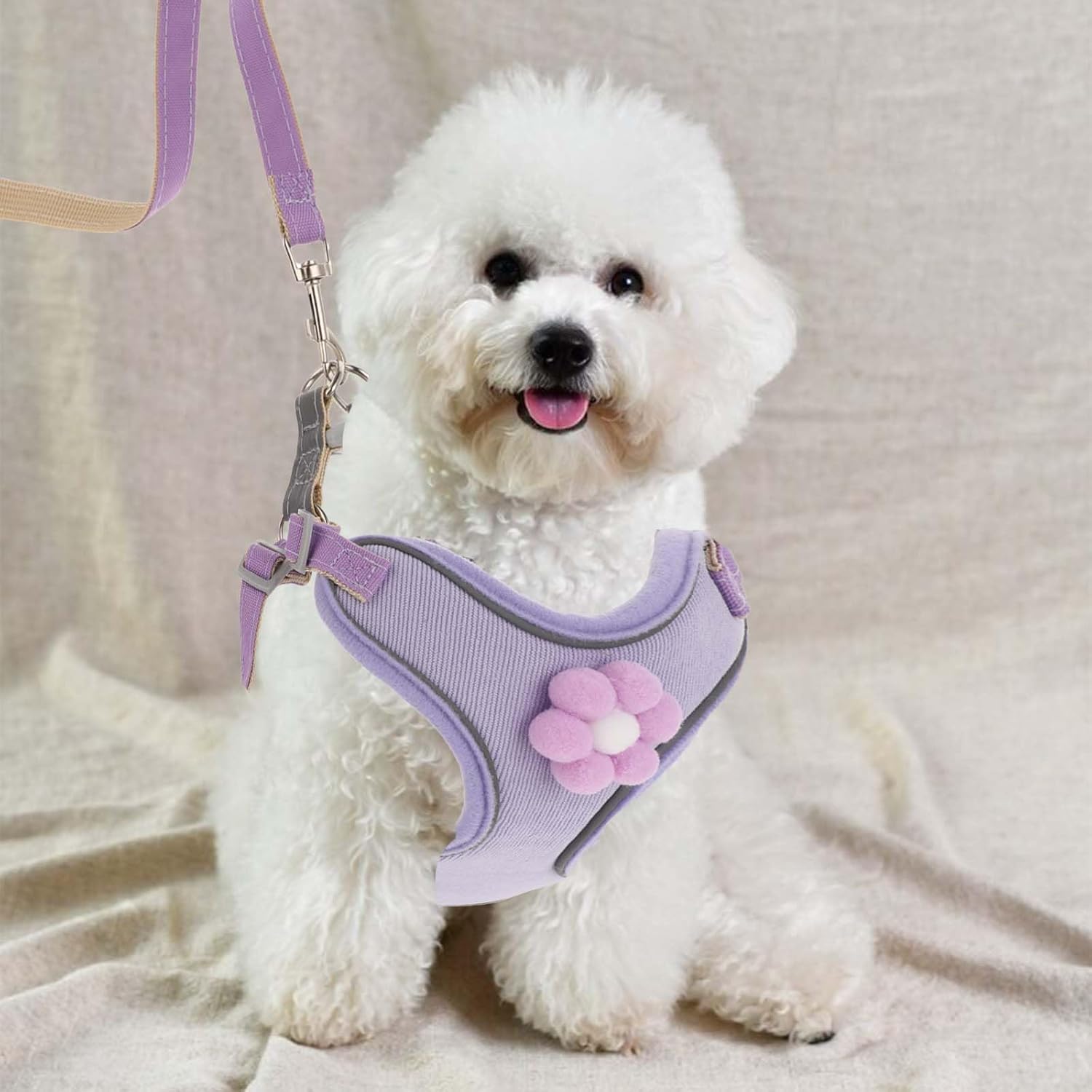 KFX-0640573 Breathable Mesh Dog Vest Harness with Quick Release Buckle for Small, Medium, and Large Dogs