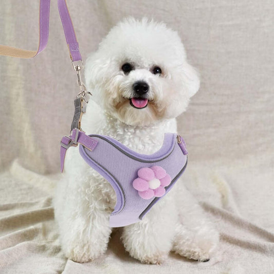 KFX-0640573 Breathable Mesh Dog Vest Harness with Quick Release Buckle for Small, Medium, and Large Dogs