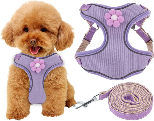 KFX-0640573 Breathable Mesh Dog Vest Harness with Quick Release Buckle for Small, Medium, and Large Dogs