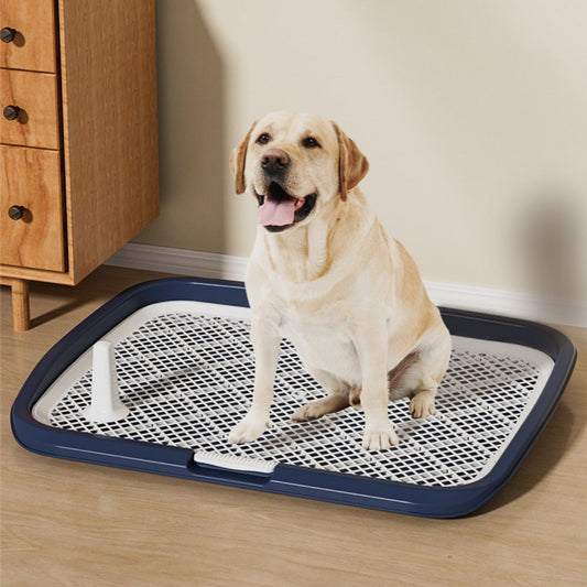 KFX-0646717 Oversized Flat Dog Toilet in Multiple Colors - Anti-Stepping Design, 65x50x6.5cm