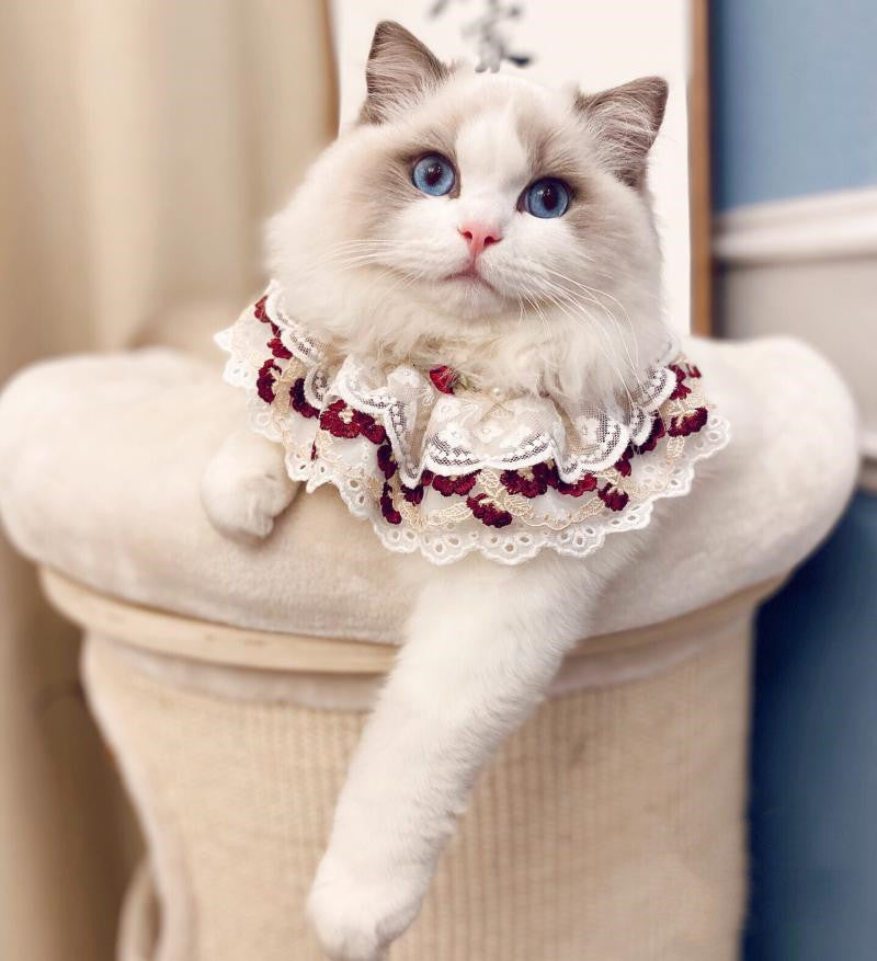 KFX-0647101 Cotton Lace Adjustable Bib Scarf for Pets - Available in Wine, Red, Pink, Sizes XS to XL