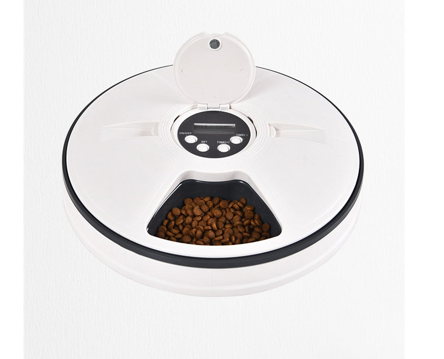 KFX-0648637 Automatic Timed Pet Feeder - Plastic Design in Gray, Green, and Pink