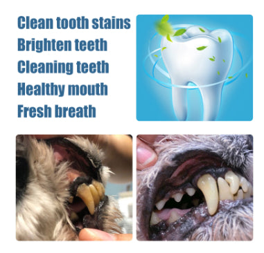 KFX-0652477 Pet Teeth Whitening Pen for Dogs and Cats - Tartar Remover with 2 Dental Brushes - 6ml Total