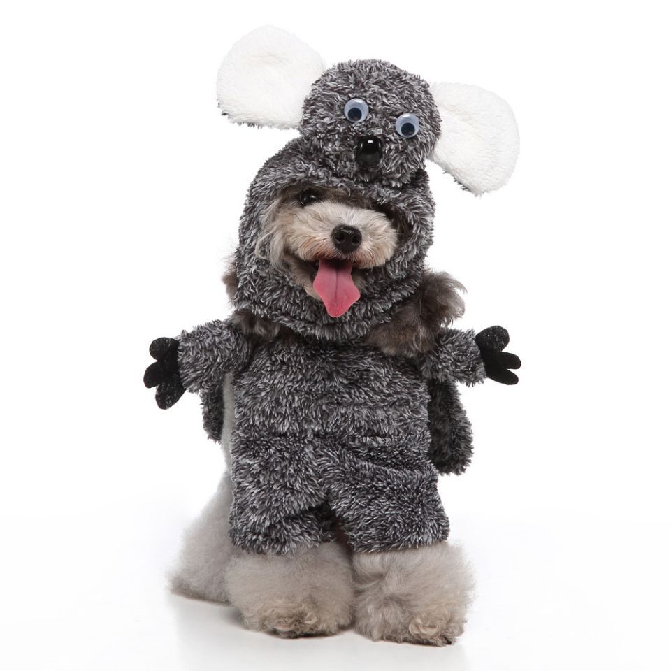 KFX-0654781 Pet Clothing Collection in Various Unique Designs - Available in S, M, L, XL Sizes, Made of Polyester
