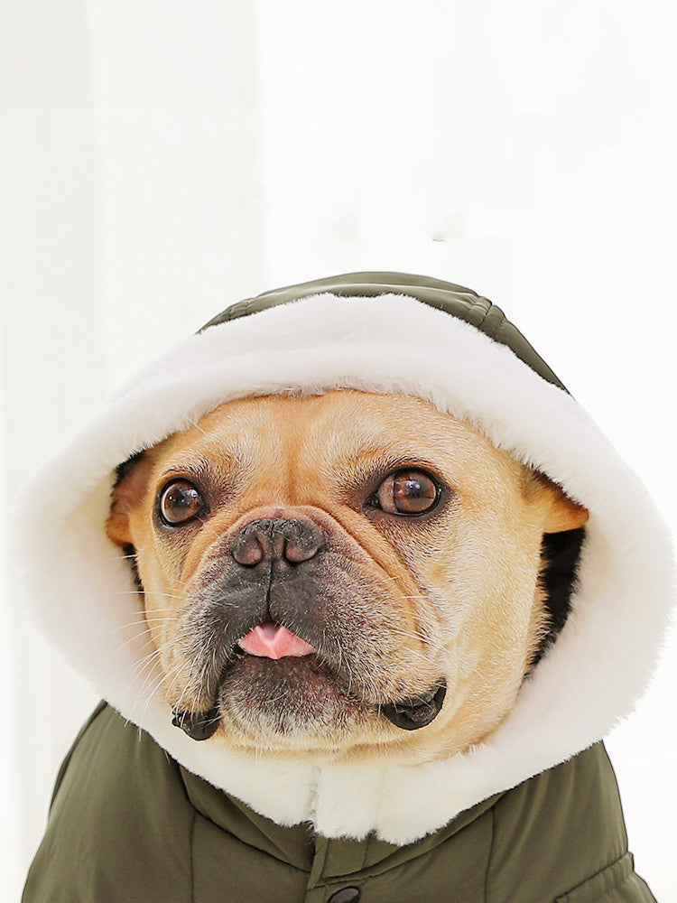 KFX-0655037 Cozy Cotton Winter Dog Clothes with Plus Velvet Thickening – Red and Green Options Available