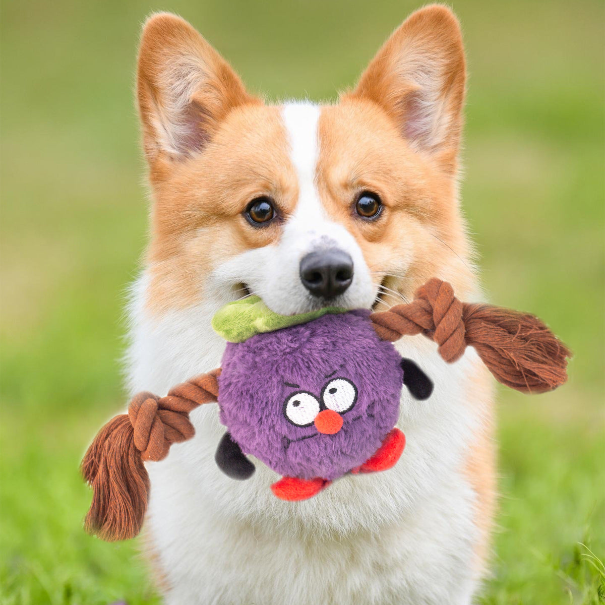 KFX-0663613 Interactive Plush Rope Knot Dog Toy for Tug of War and Dental Care