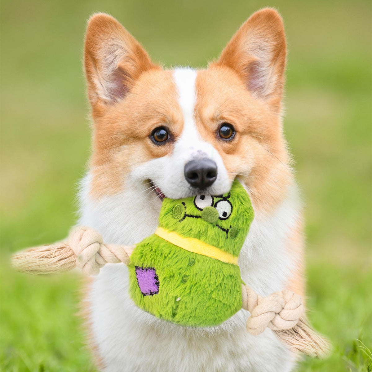 KFX-0663613 Interactive Plush Rope Knot Dog Toy for Tug of War and Dental Care