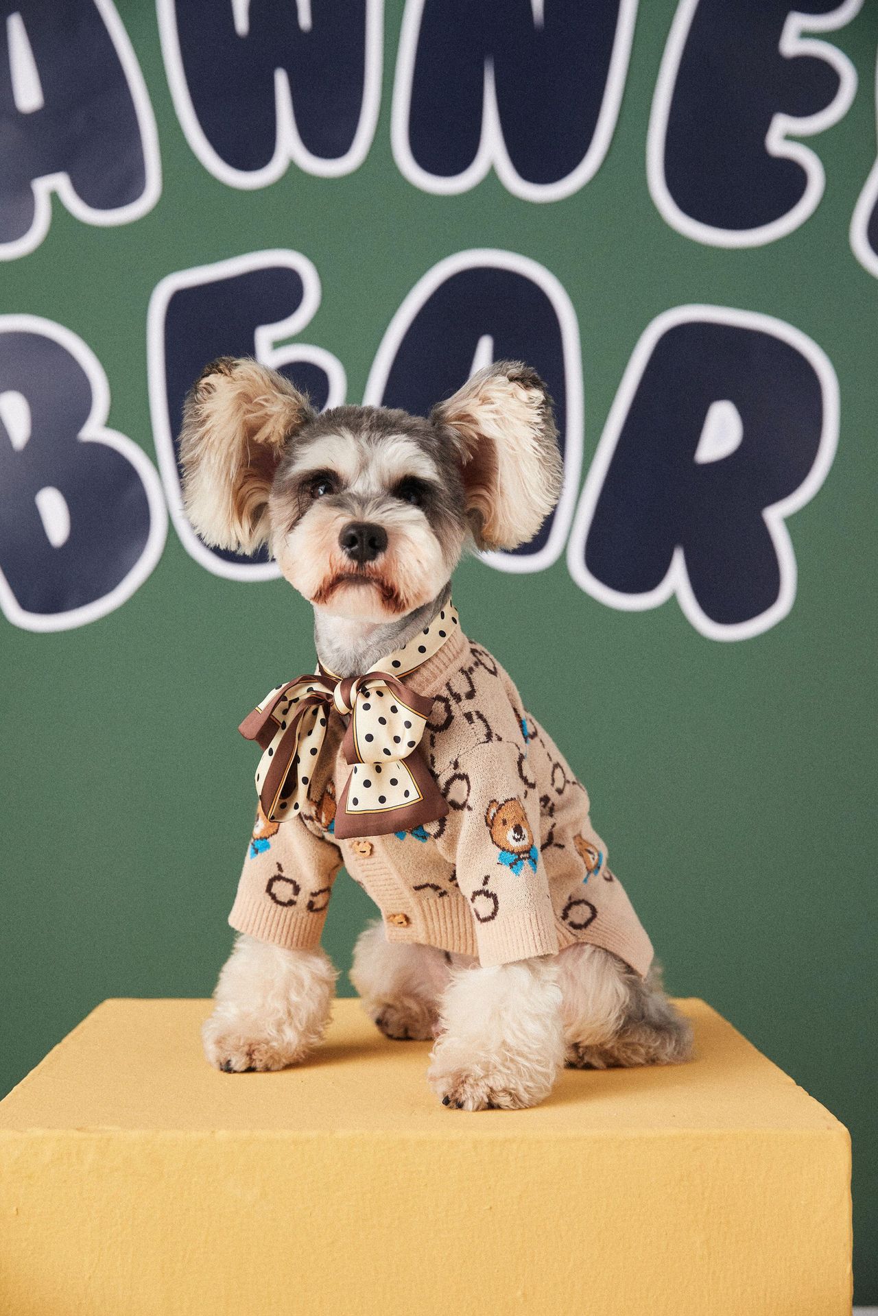 KFX-0664125 Casual Wool Sweater Cardigan for Pets - Schnauzer & Pomeranian Styles in Multiple Sizes