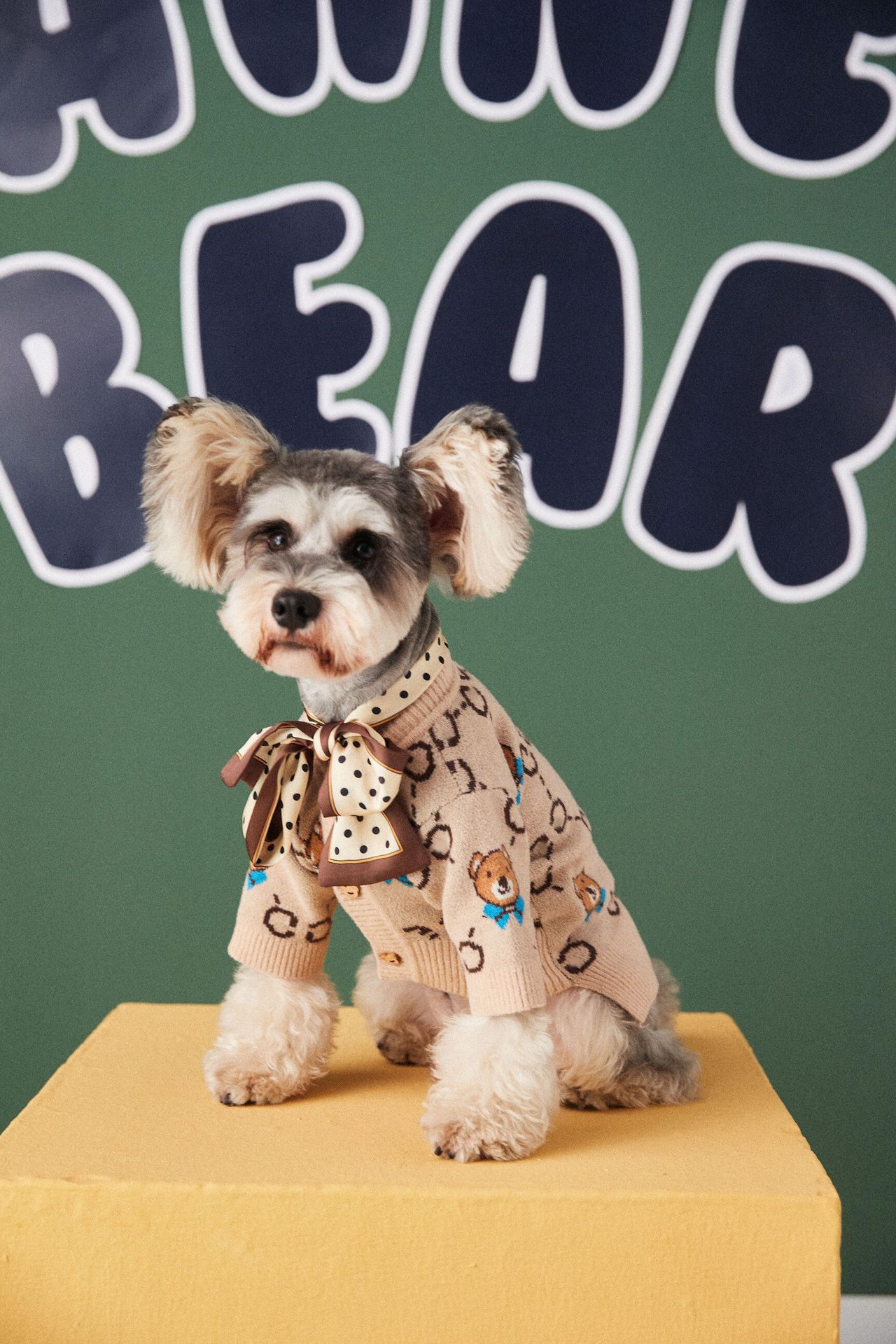KFX-0664125 Casual Wool Sweater Cardigan for Pets - Schnauzer & Pomeranian Styles in Multiple Sizes