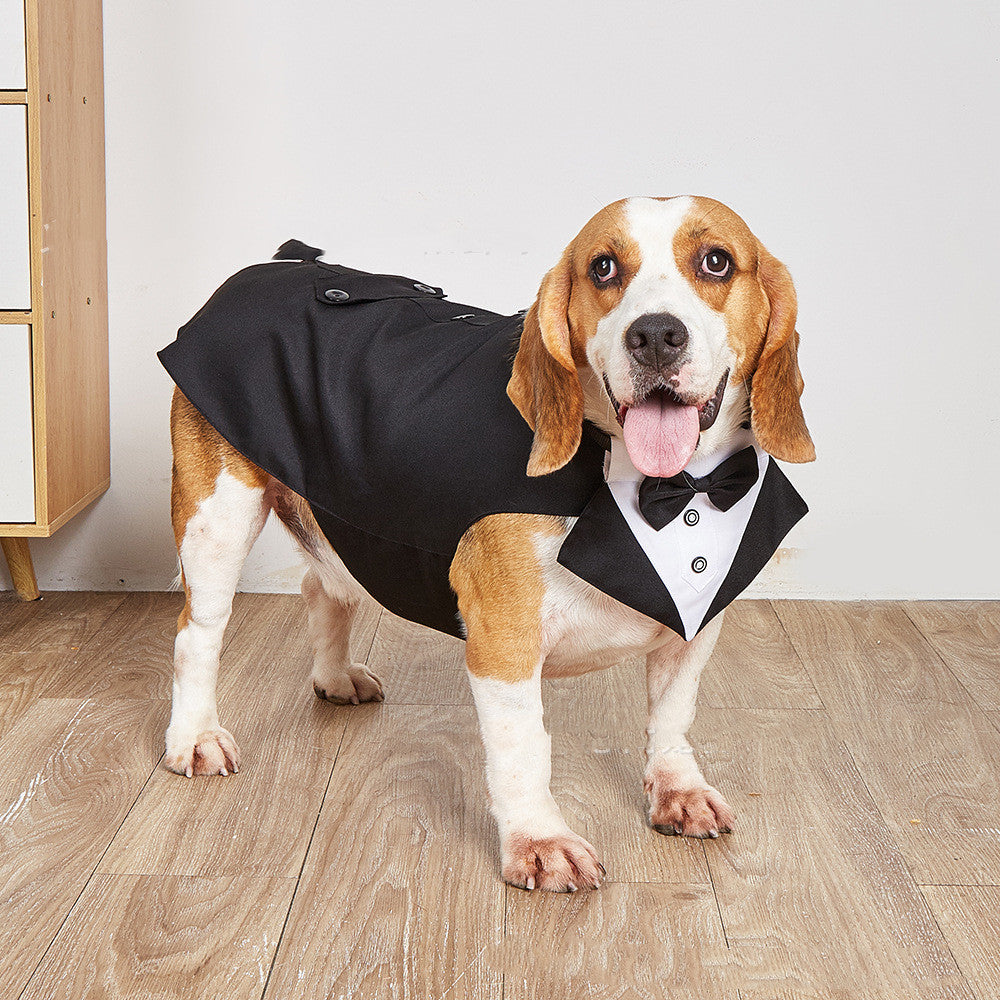 KFX-0664509 Elegant Dog Wedding Suit with Triangular Scarf - Gray Striped Design, Various Sizes Available