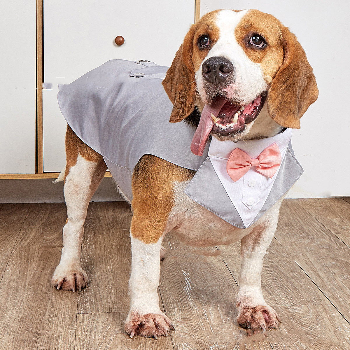 KFX-0664509 Elegant Dog Wedding Suit with Triangular Scarf - Gray Striped Design, Various Sizes Available